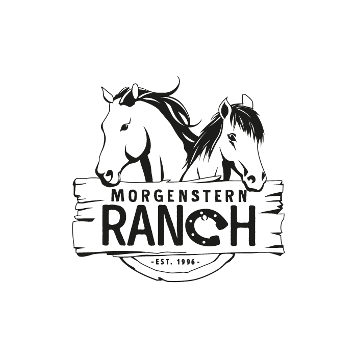 morgenstern logo